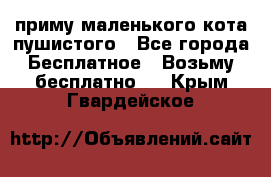 приму маленького кота пушистого - Все города Бесплатное » Возьму бесплатно   . Крым,Гвардейское